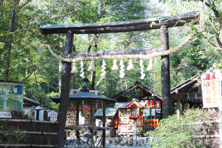 京都・嵐山「野宮神社」の見どころ｜霊験あらたかな「じゅうたん苔」の名所イメージ>